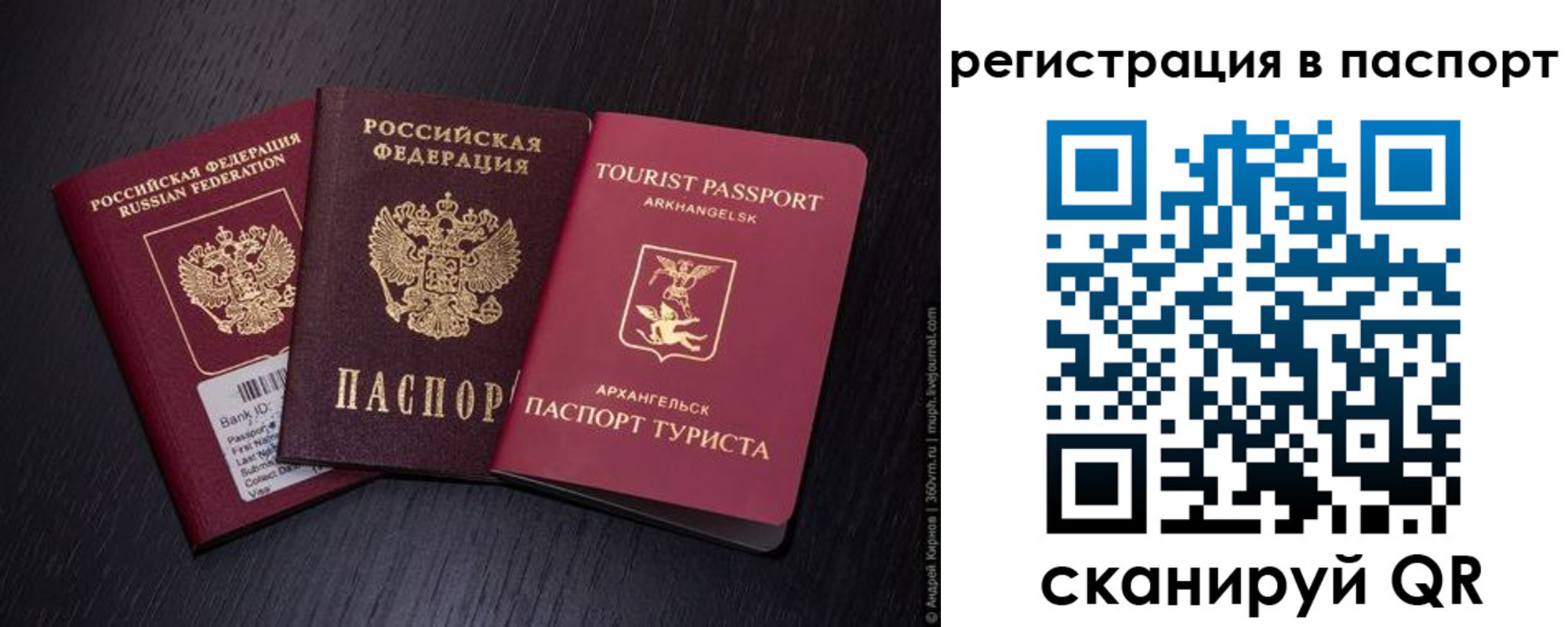 прописка в квартире в Емве